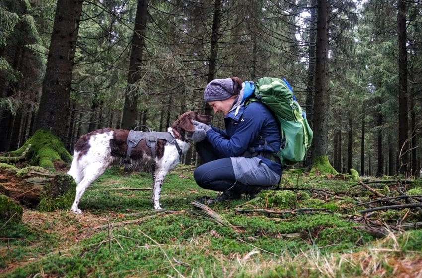 Mit Hund auf Trekking