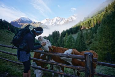 Wandern in Südtirol