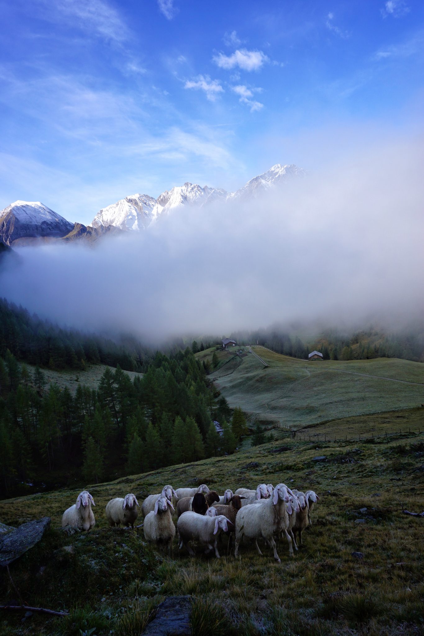 Wandern Pfunderer Berge wandern