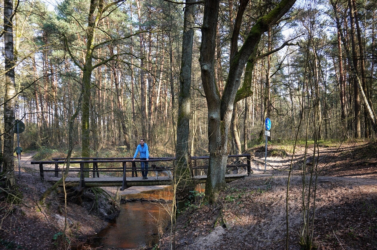 Wulbeckbrücke