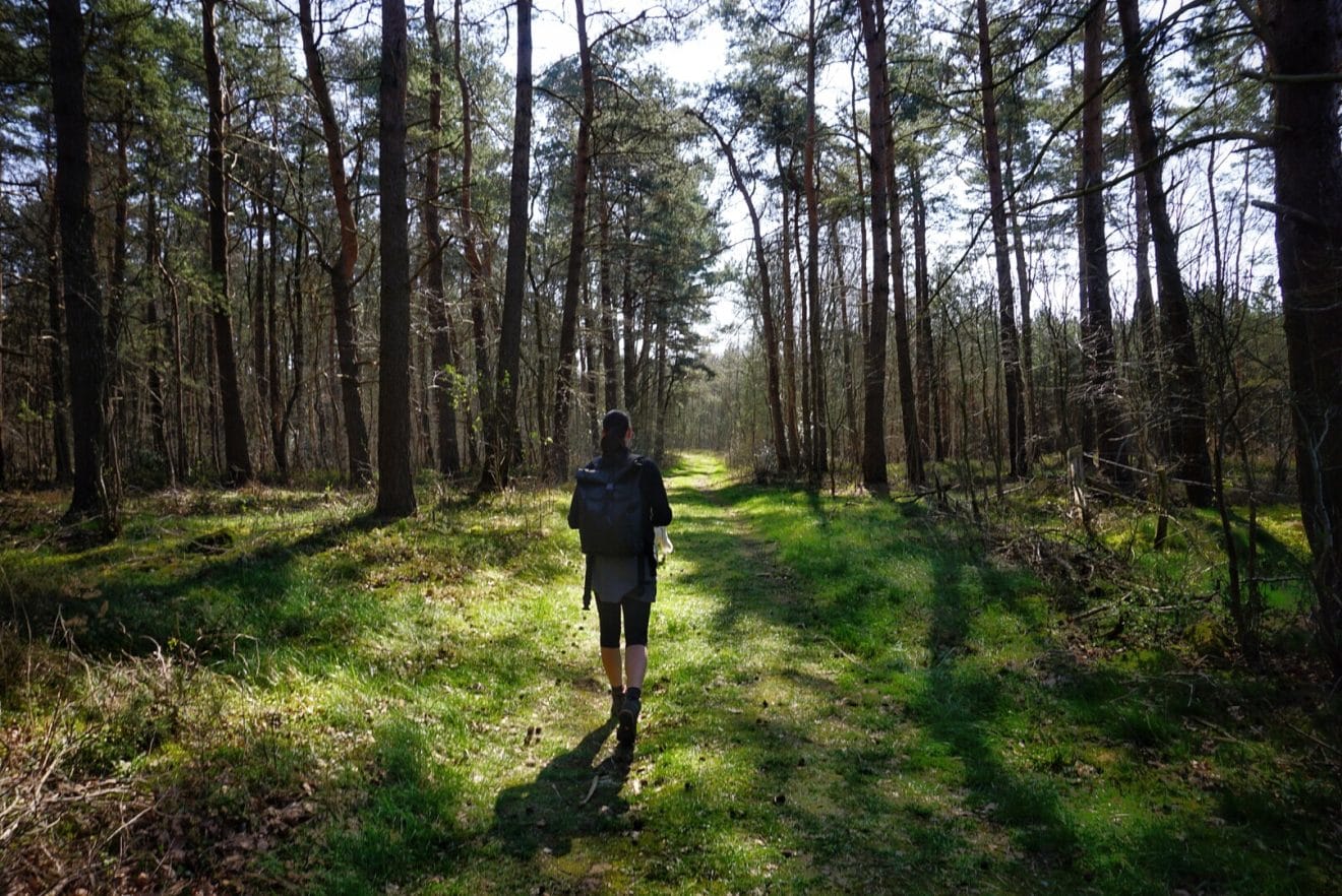 Schöne Wanderungen in der Region Hannover EtappenWandern