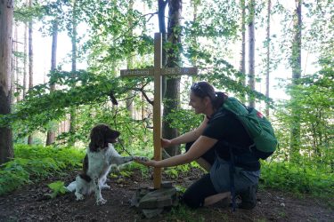 Wandern mit krankem Hund – Teil 3