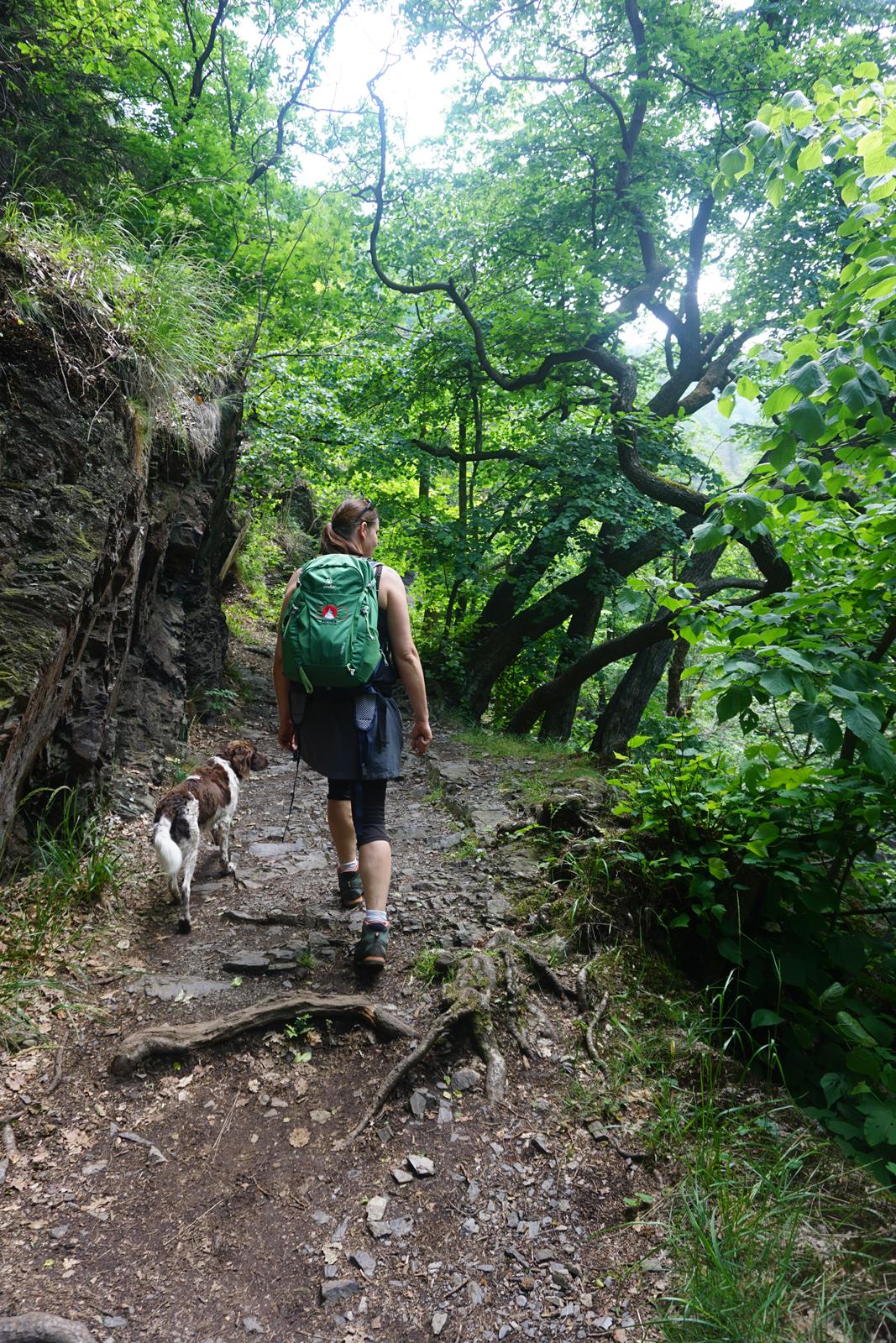 Bodetal Wanderweg