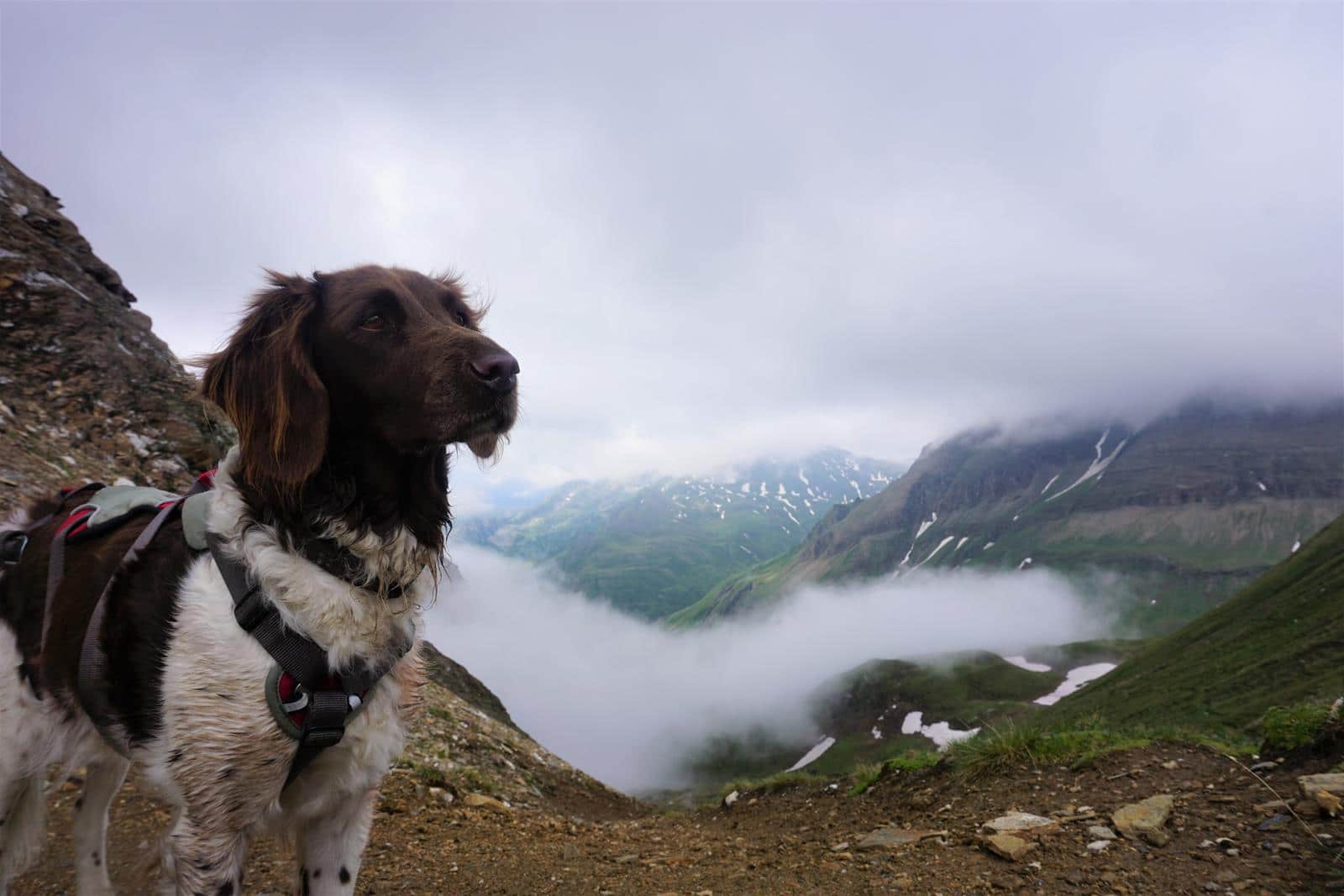 Hüttentour mit Hund