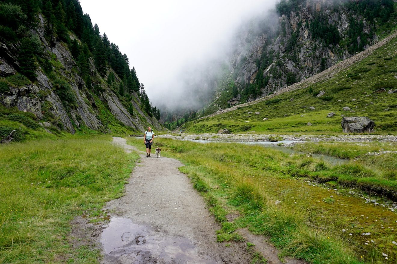 Weg zur Sulzenauhütte