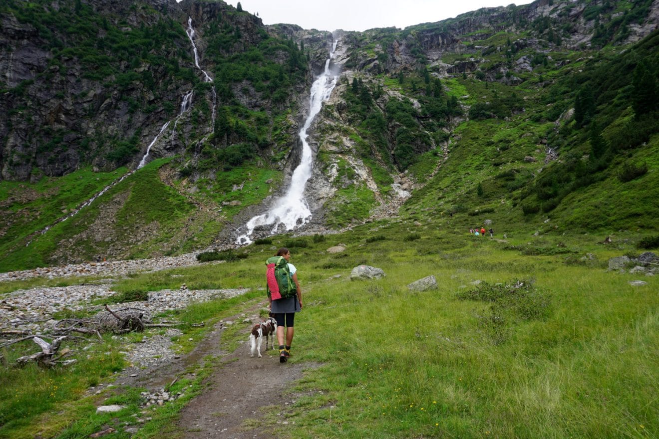 Wandern mit Hund