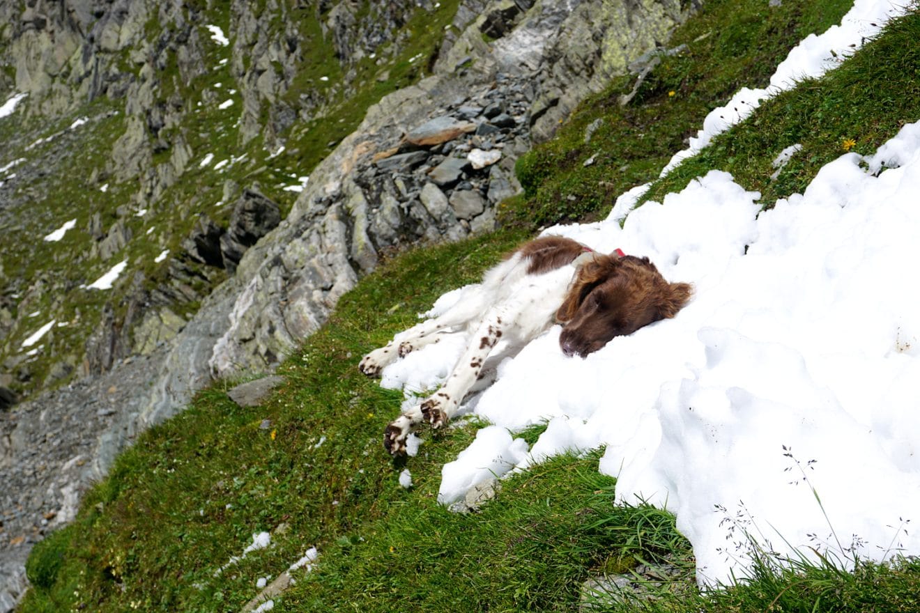 Abkühlung im Schneefeld