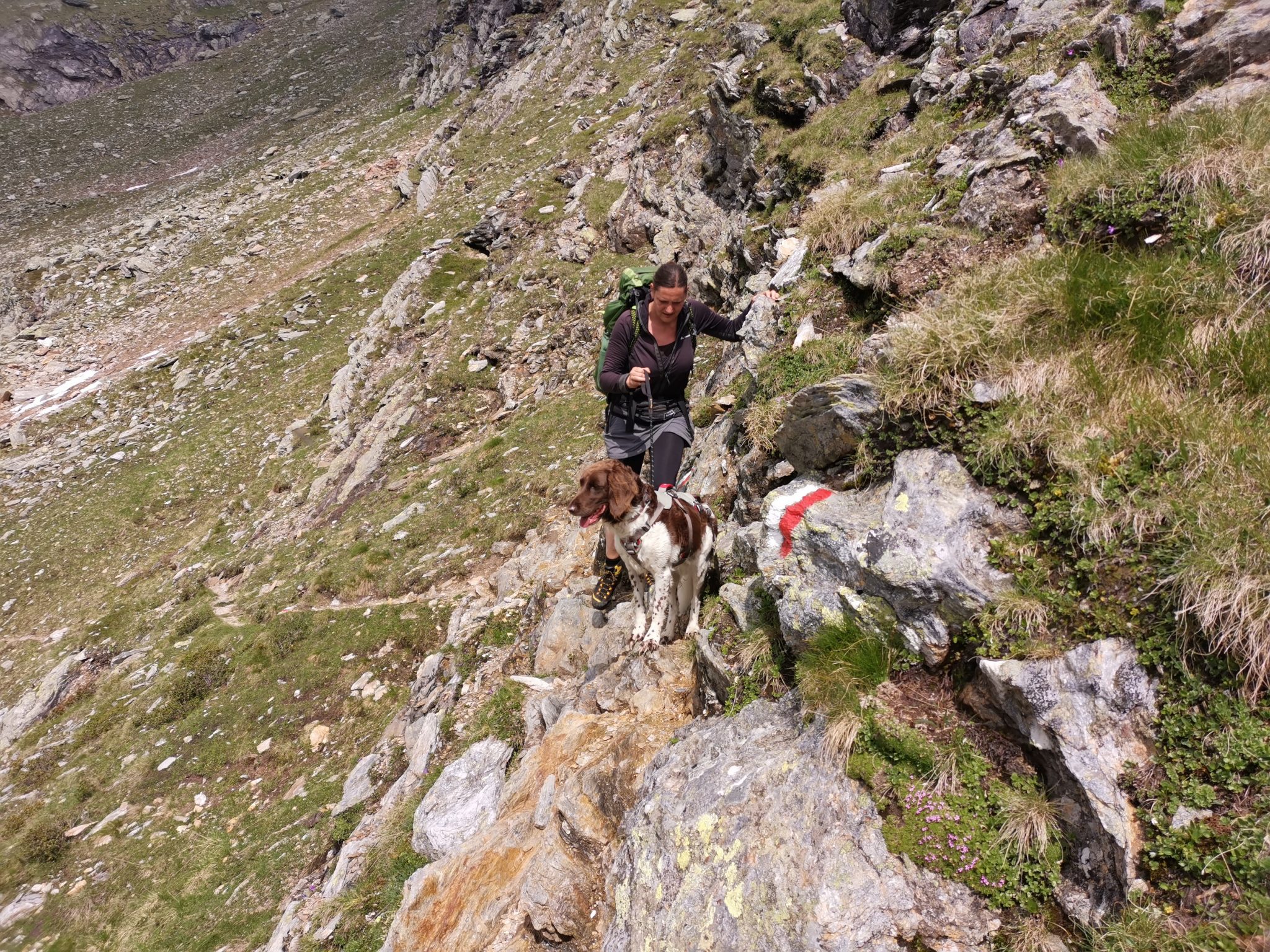 SAC-Berg- und Alpinwanderskala