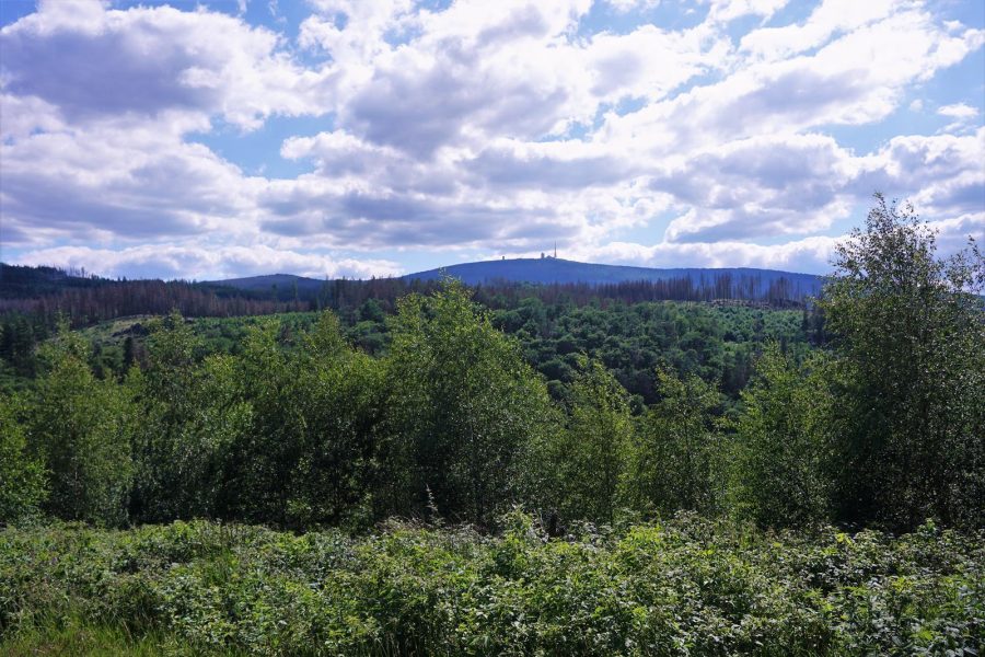 Blick zum Brocken