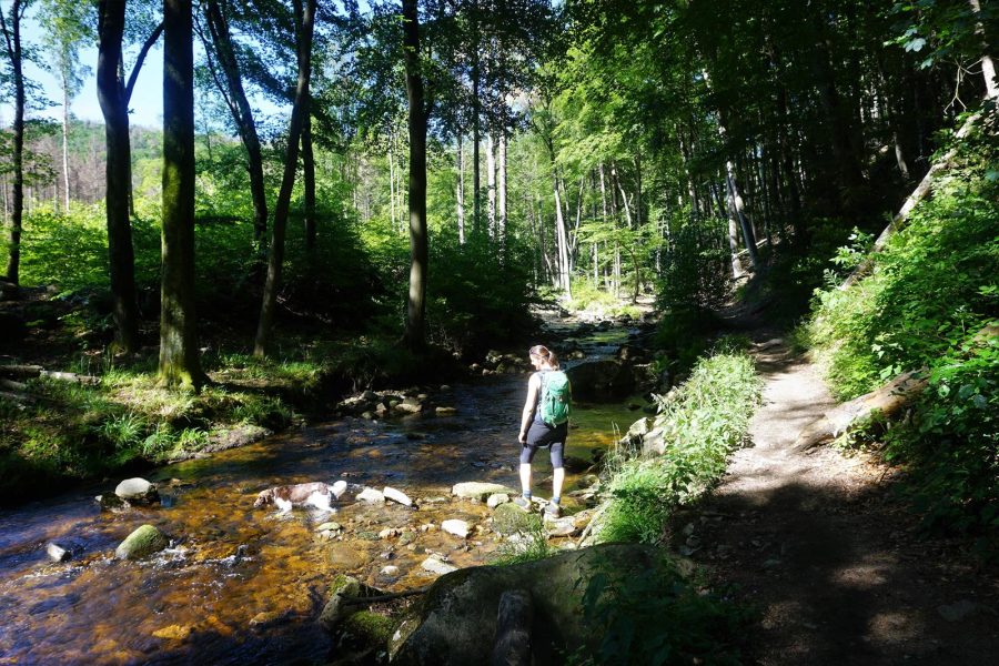 Brockenaufstieg
