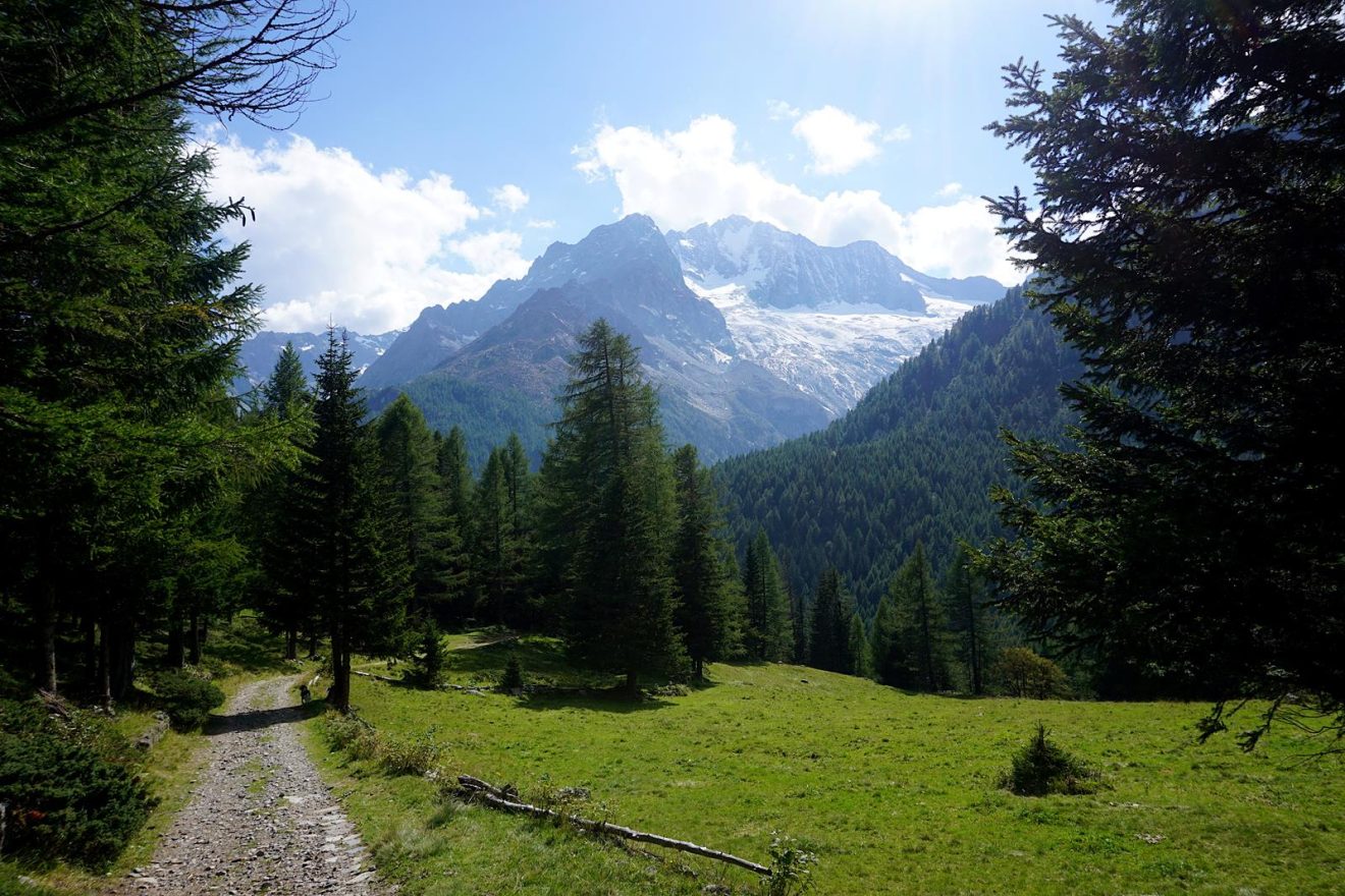 Monte Disgrazia