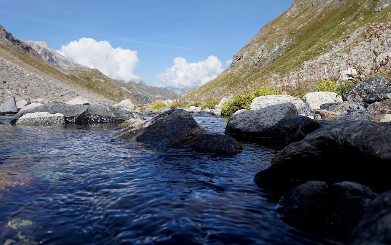 Bernina Tour