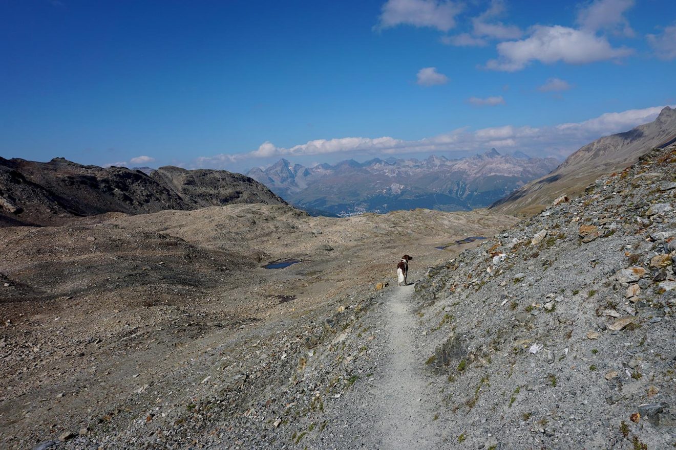 Val Languard