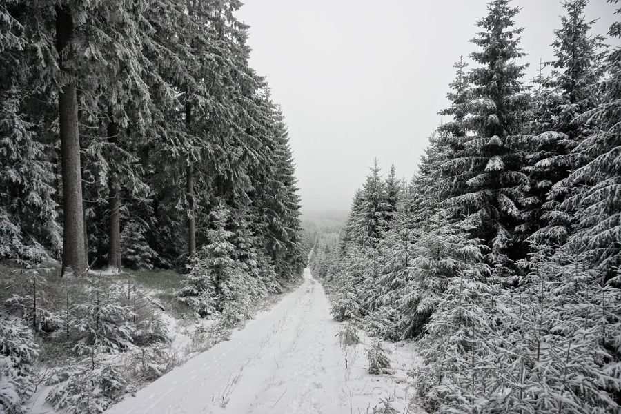 Winterwandern im Harz
