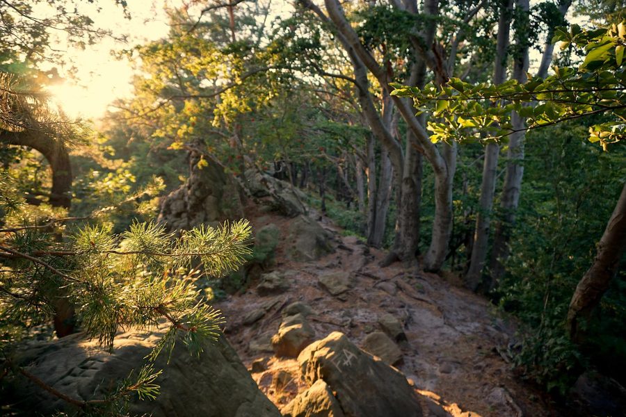 Wandern im Harz
