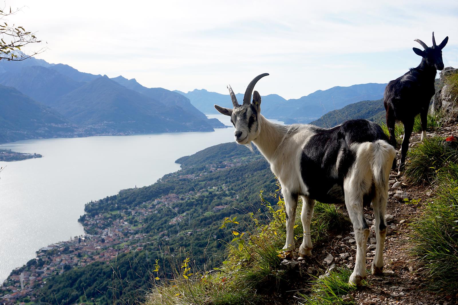 Wandern Comer See