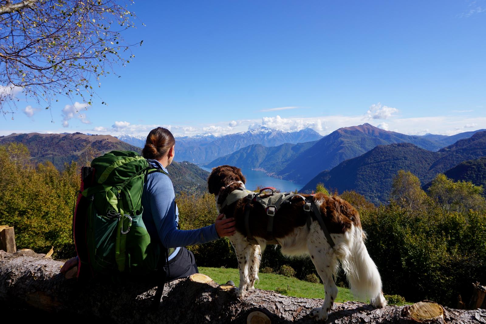 Weitwandern mit Hund