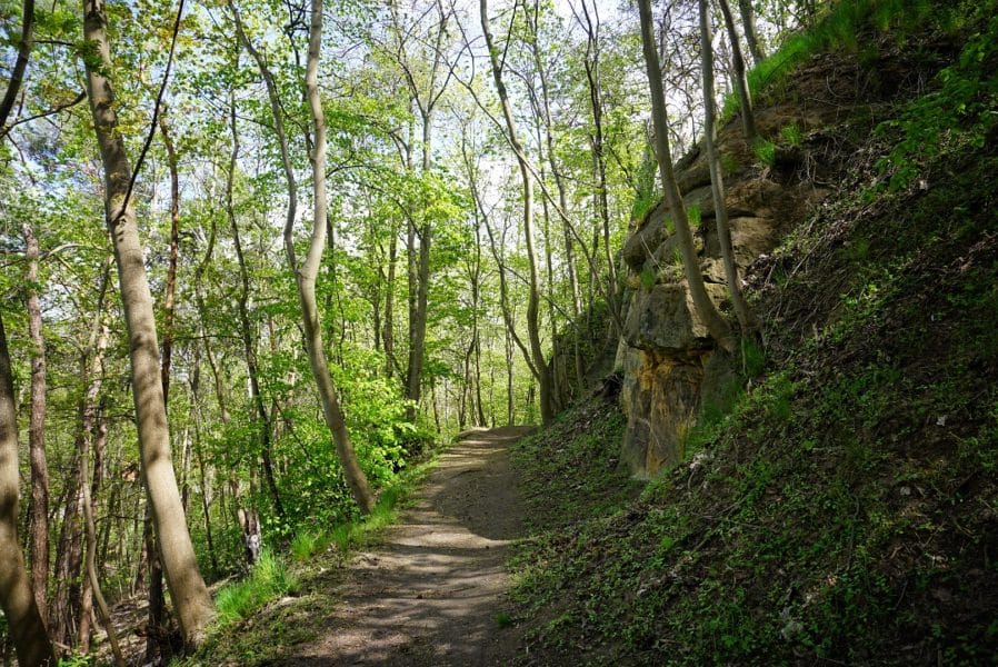 Wanderwege