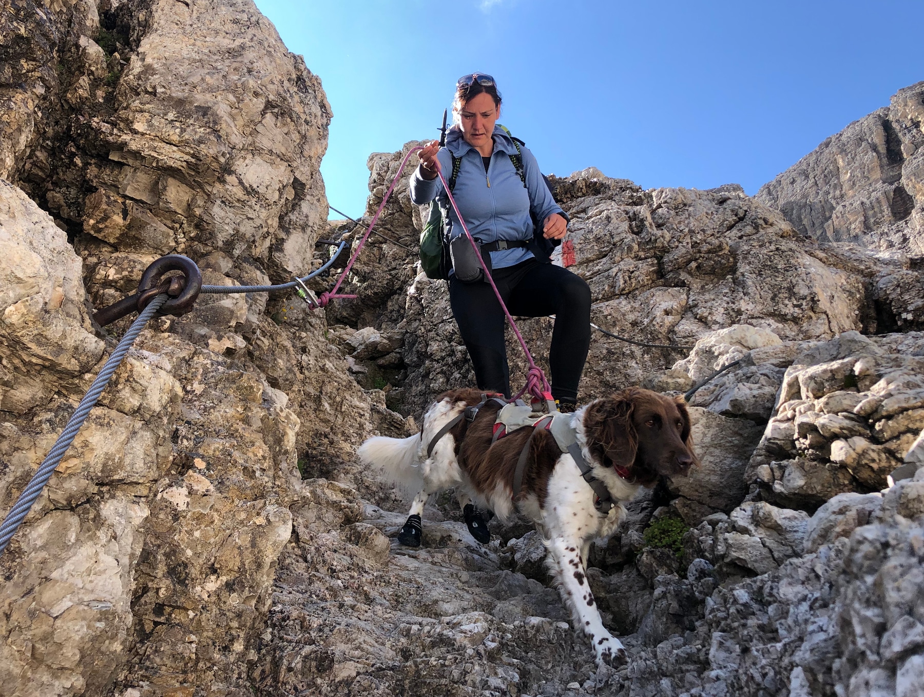 Bergwandern mit Hund