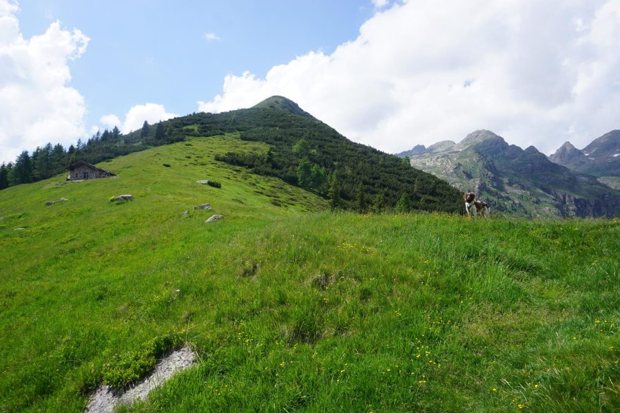 Alpe Orobie