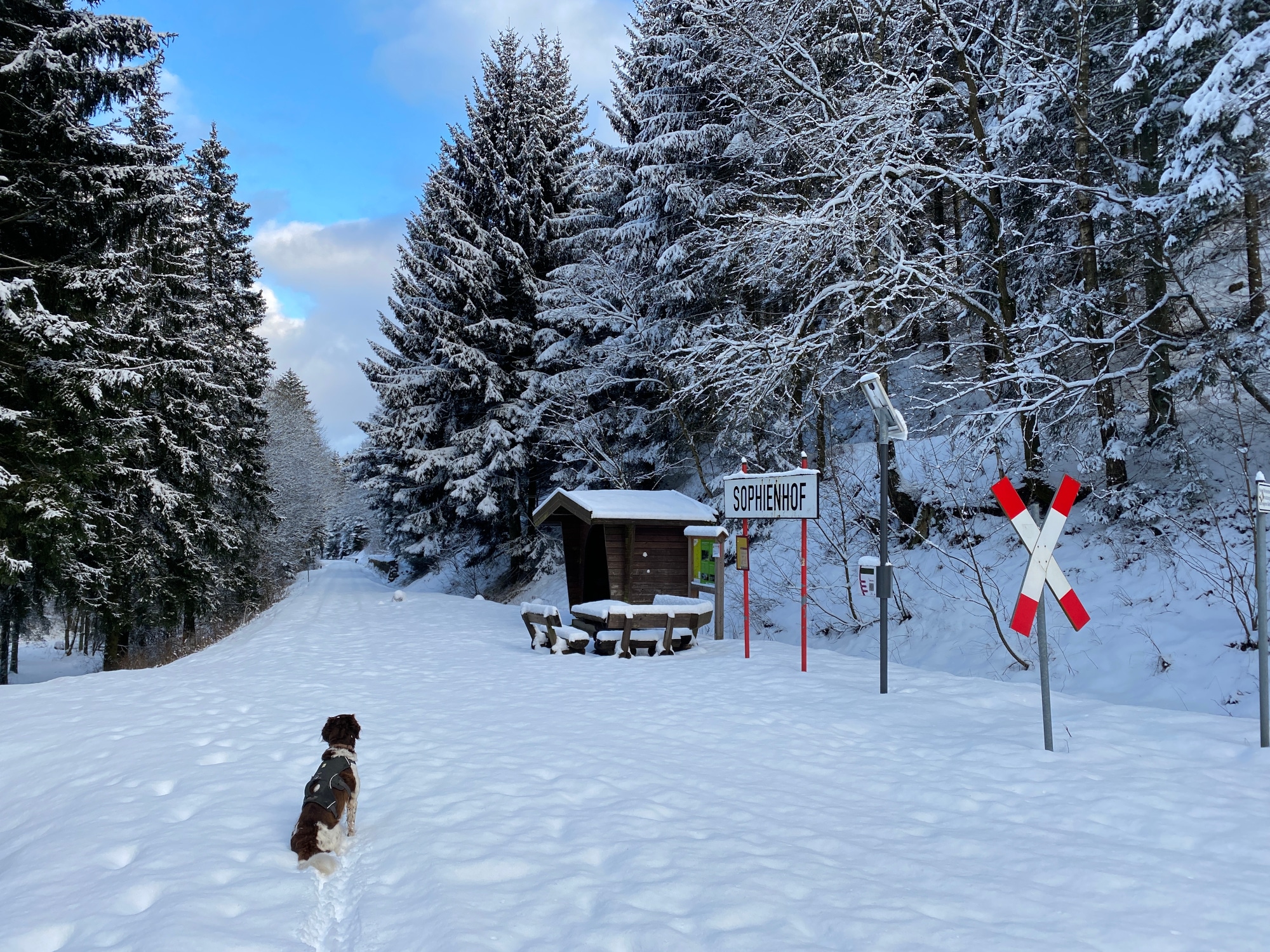 Winter im Harz