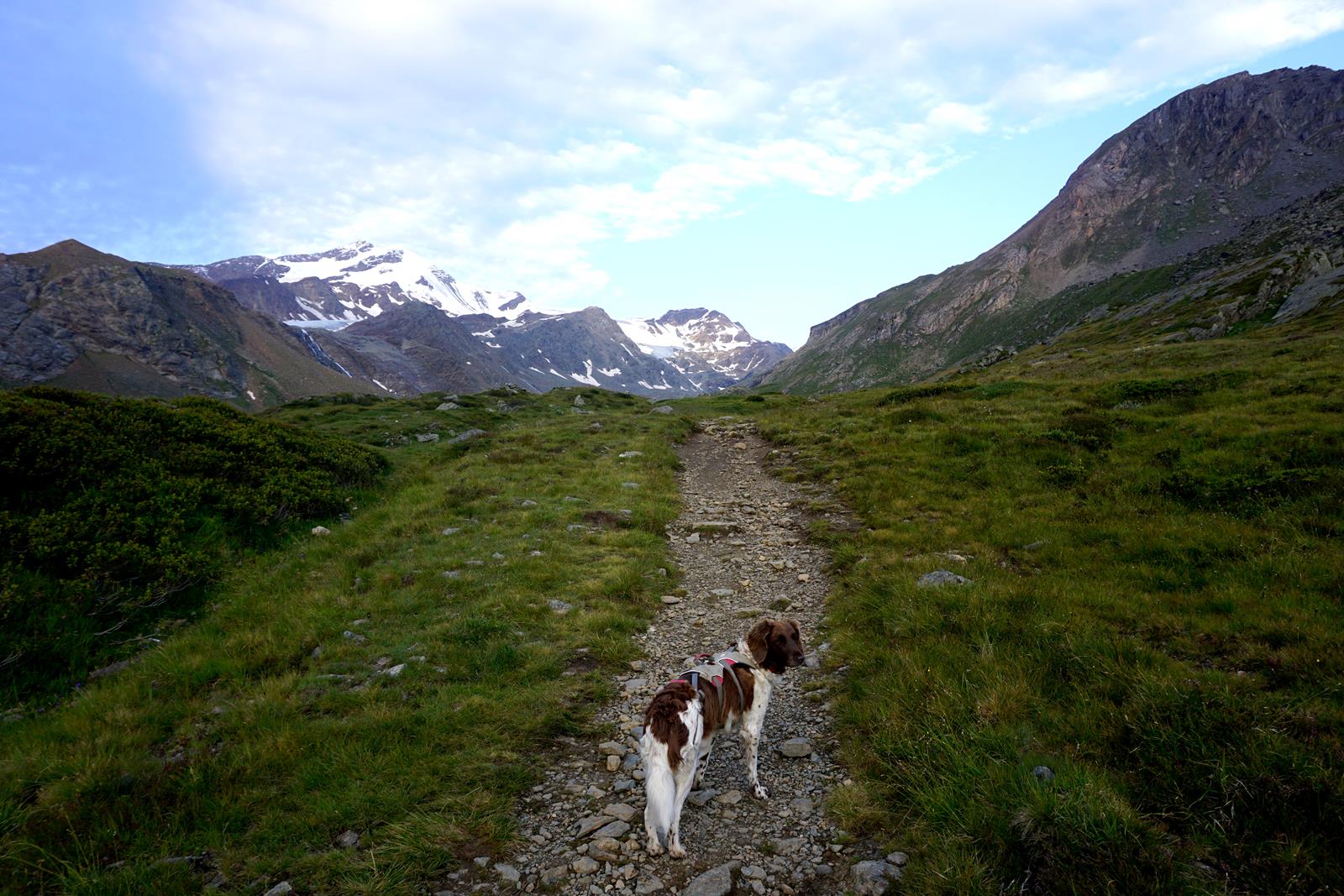 Mit Hund auf die Madritschspitze