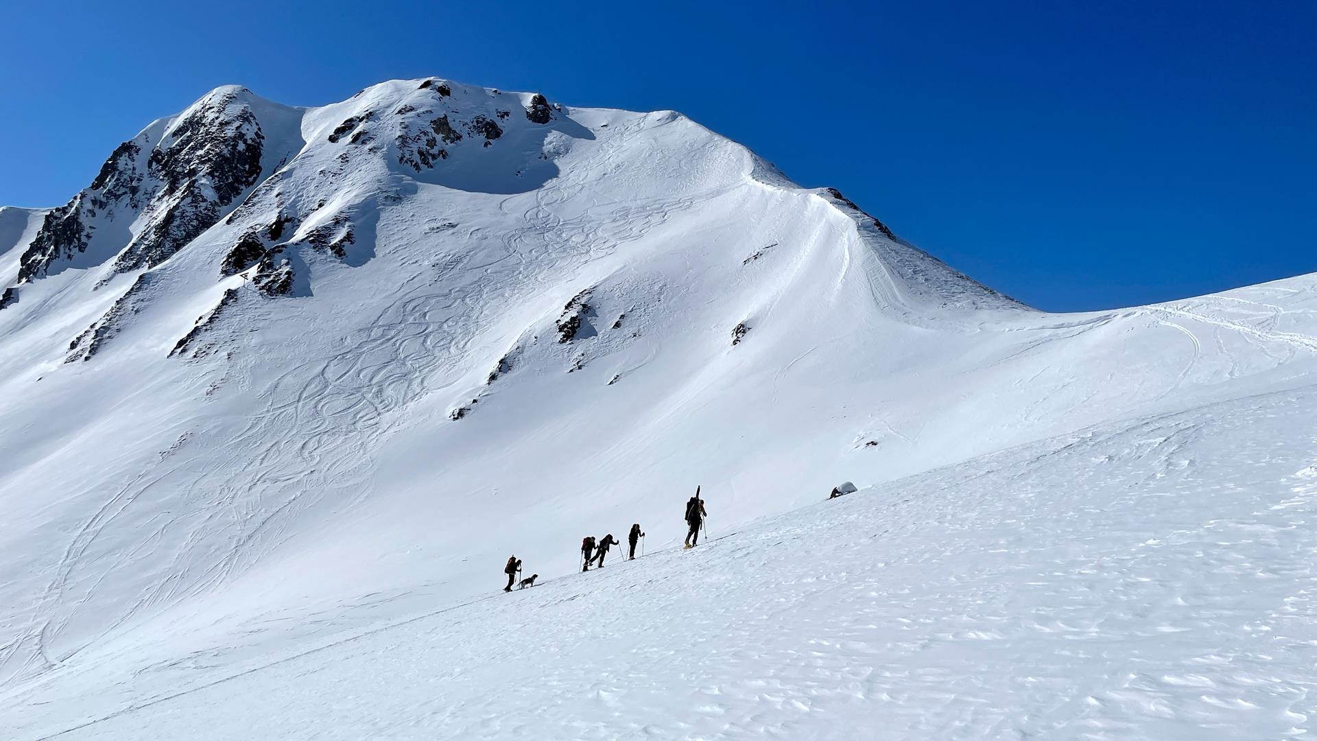 Schneeschuh Trekking