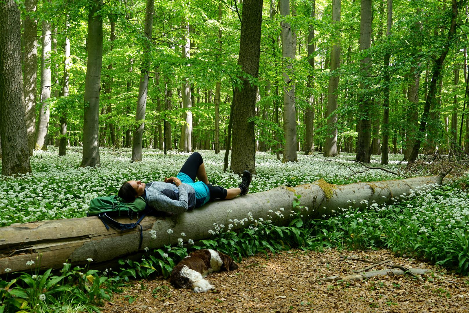 Wanderin liegt auf umgefallenem Baumstamm, gesäumt von blühendem Bärlauch