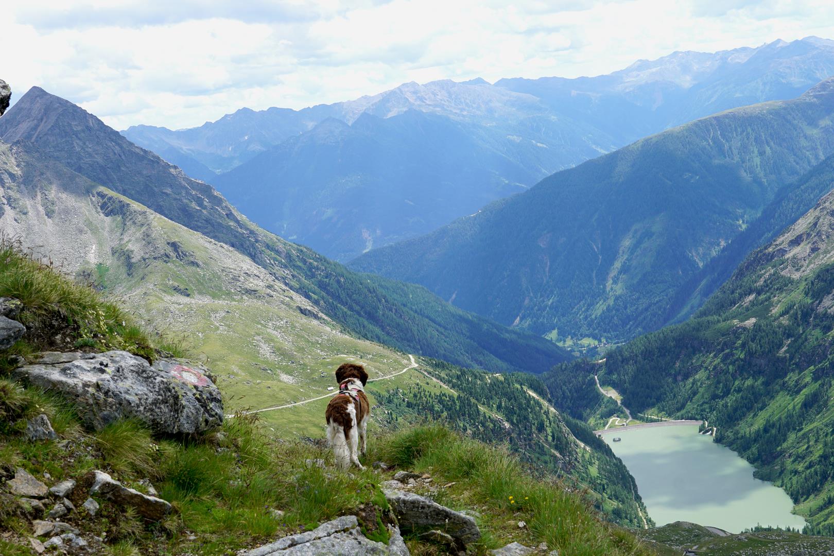 Überschreitung-Hohe Tauern