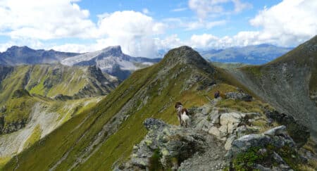 Prättigauer Höhenweg im Rätikon