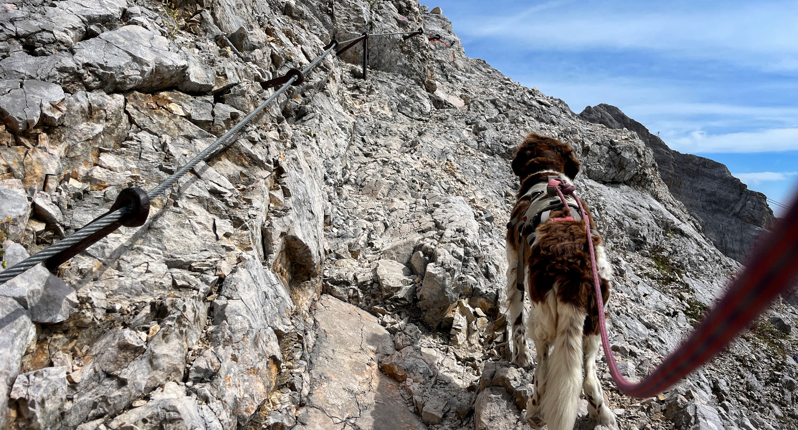 Zugspitze mit Hund über das Reintal