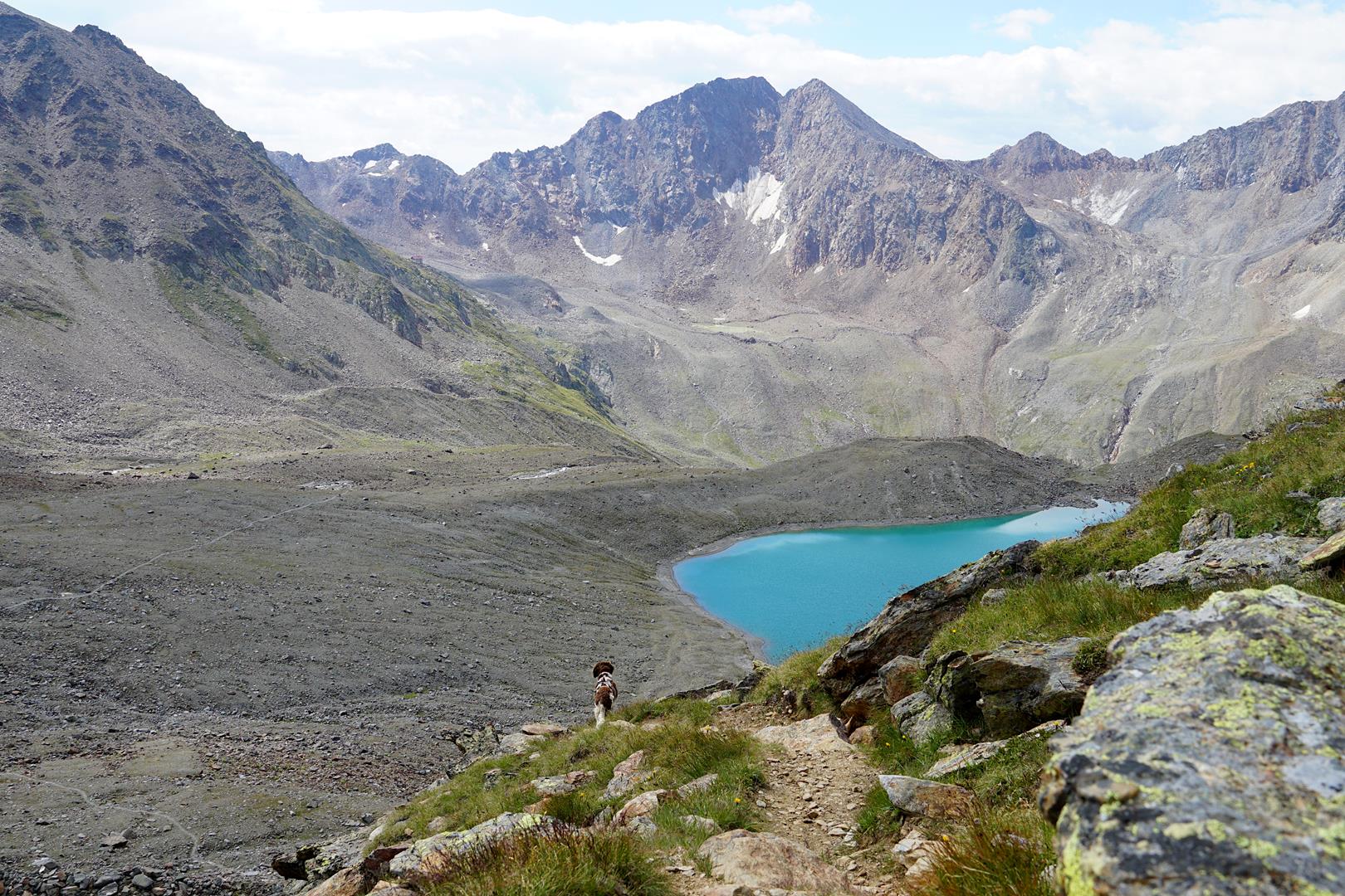 Ötztal Trek mit Hund