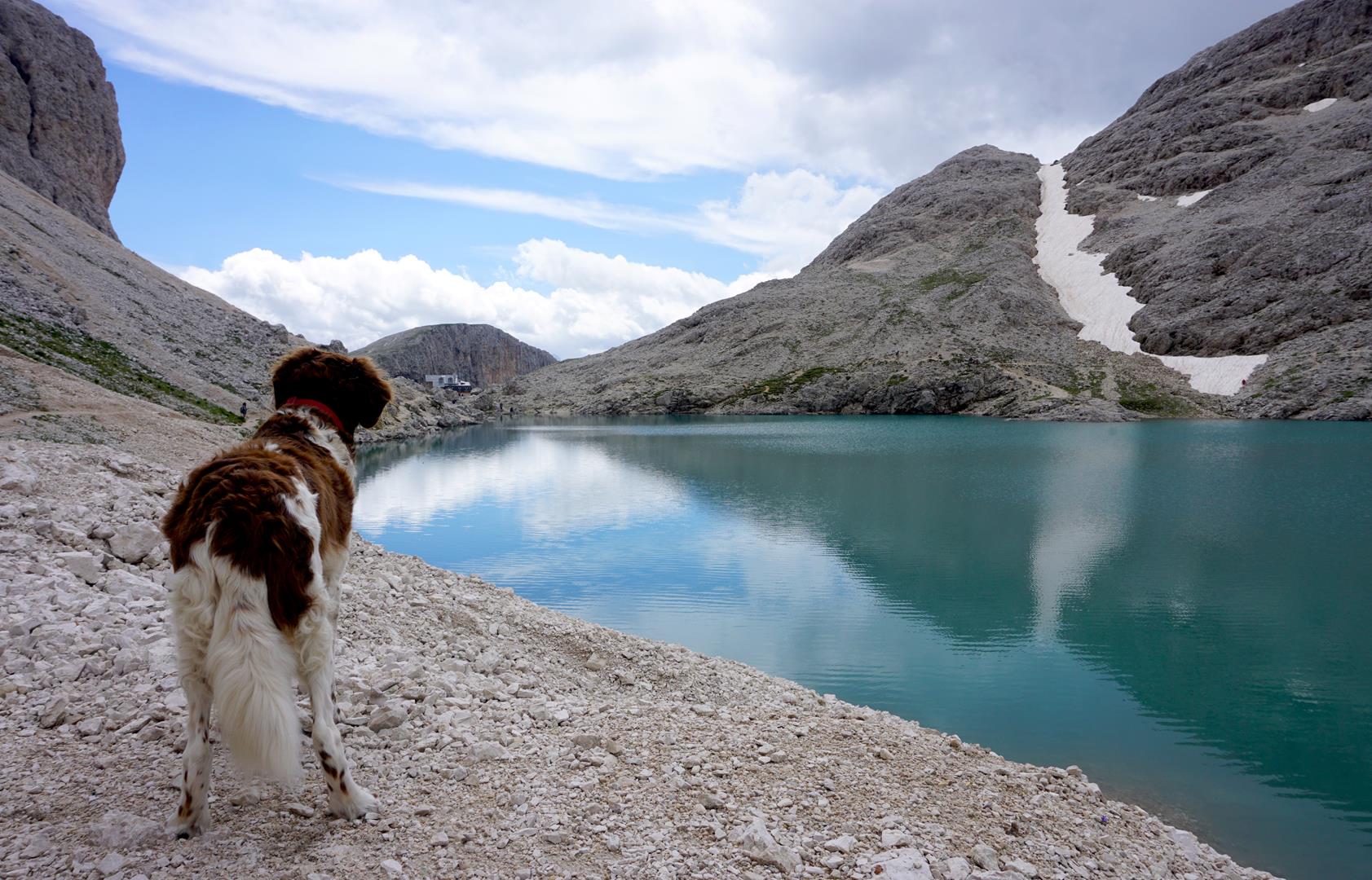 Hüttentour mit Hund
