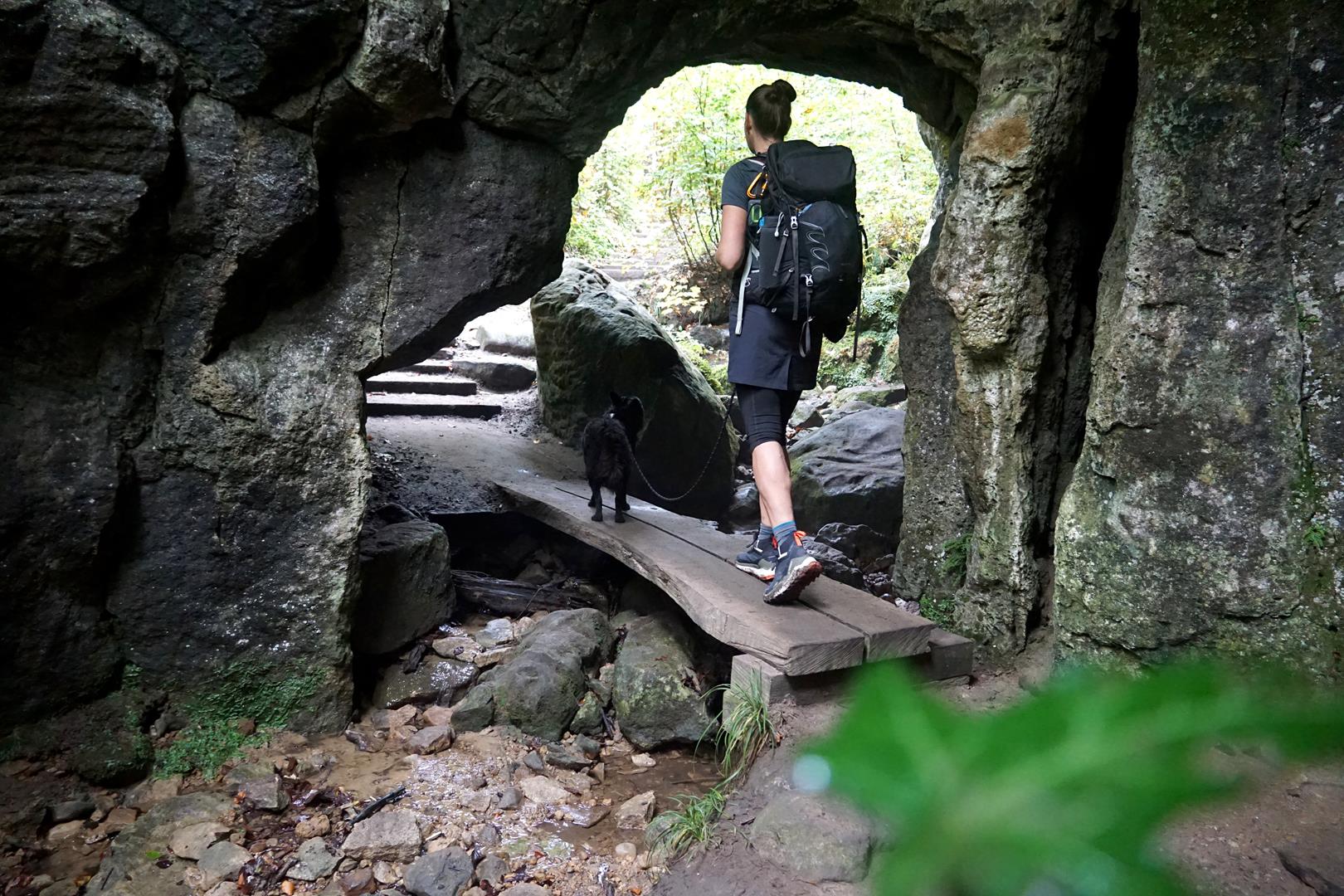 Weitwandern hund